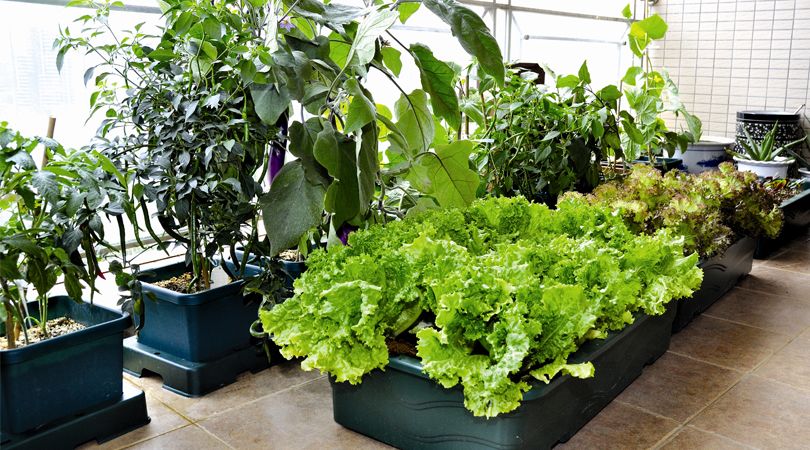 寻找一起做事志同道合的合伙人,找正能量的合伙人