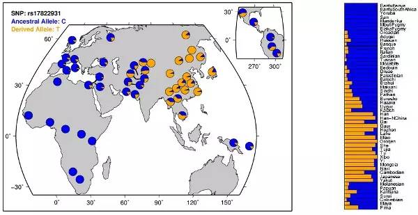 老娘没狐臭!就算有,也是正常!