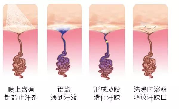 老娘没狐臭!就算有,也是正常!