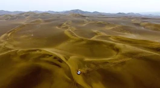 回顾2019年的体坛,铭记体坛2014瞬间