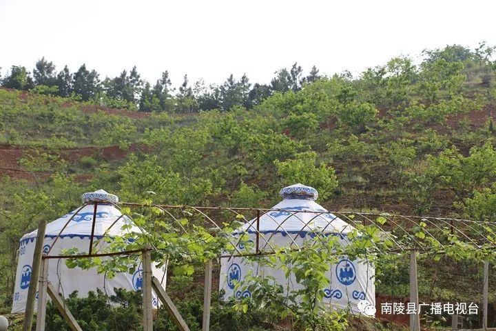 南陵民间故事,南陵历史故事