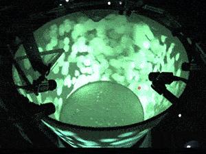 她暗示让我跟她表白,她很主动的跟我表白