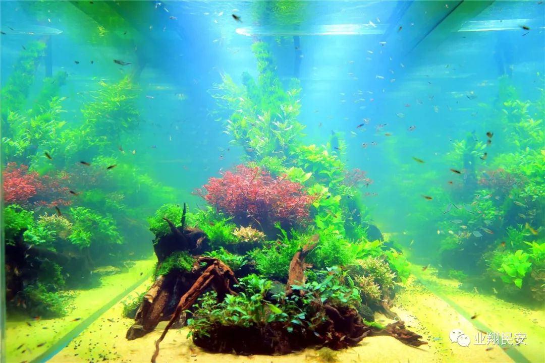 厦门翔安海洋馆门票价格,翔安澳头海洋馆