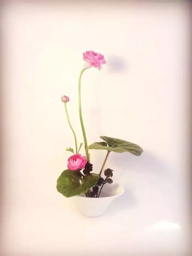 纳兰性德十首深情诗词,纳兰诗词60句深情而绝美短句