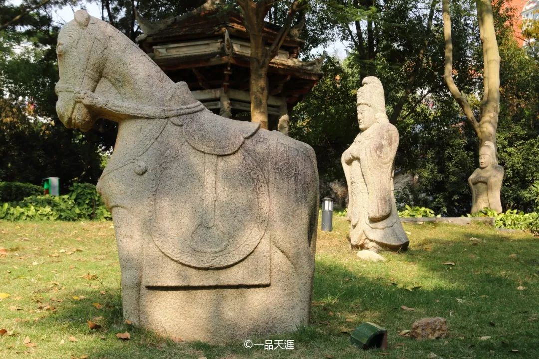 漳州大v排行,大v推荐传奇