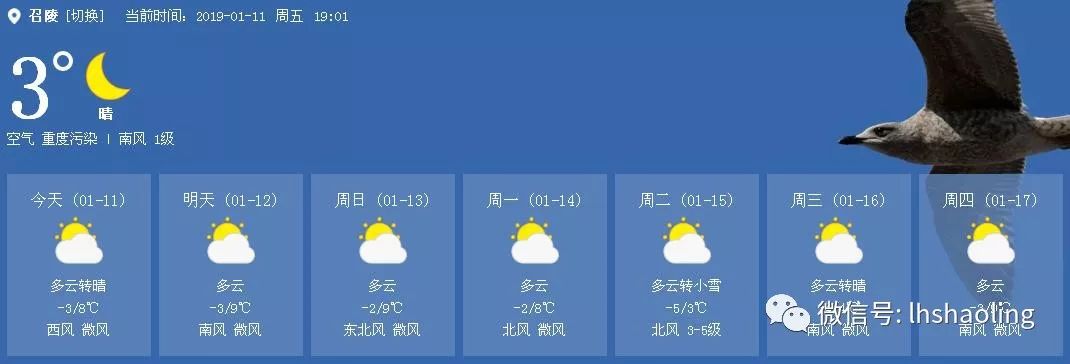 召陵新闻2018,召陵新闻