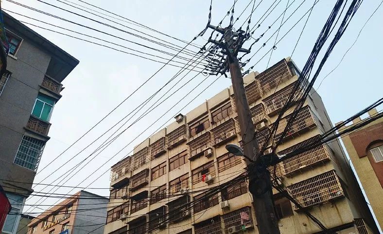 太牛了!平湖2019年超全通讯录出炉!小编熬夜整理,有了它,今后走遍平湖不用愁!