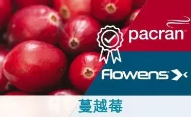 情人节甜品制作教学,情人节甜品简单又好吃