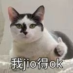 德清未来几天的天气预报,德清下雪最新消息