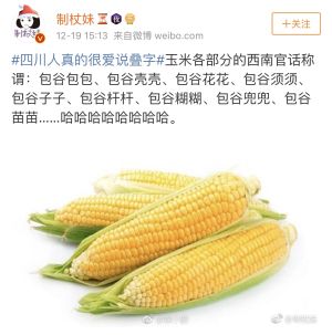 四川人为什么在骂人时都要卖萌？｜小南都知道