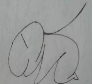 甄子丹在米兰代言,甄子丹纽约活动