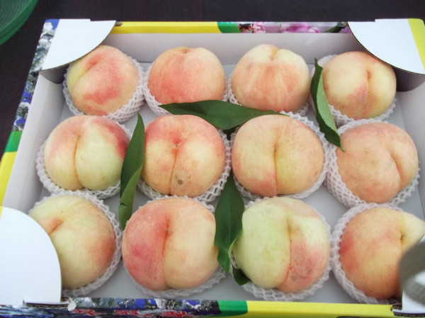 上海农家乐排名前十名,上海农家乐一日游推荐