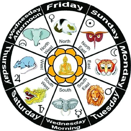 越南十二生肖为什么没有兔而是猫,十二生肖没有猫的动物