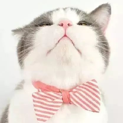 汉口里五一节有什么活动,汉口里五一活动