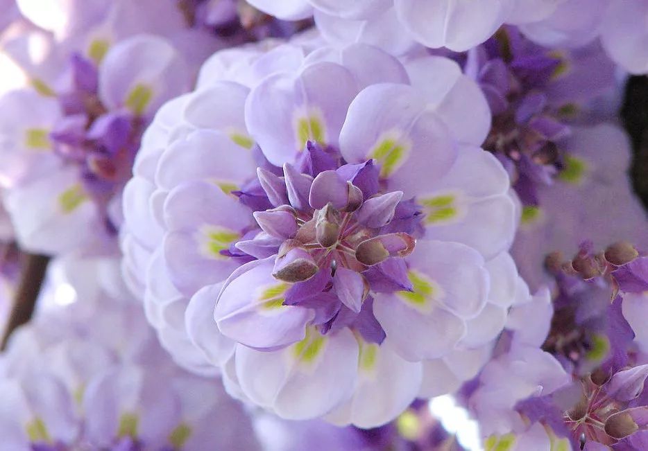 88元两瓶的大牌香水,有没有400块钱的大牌香水