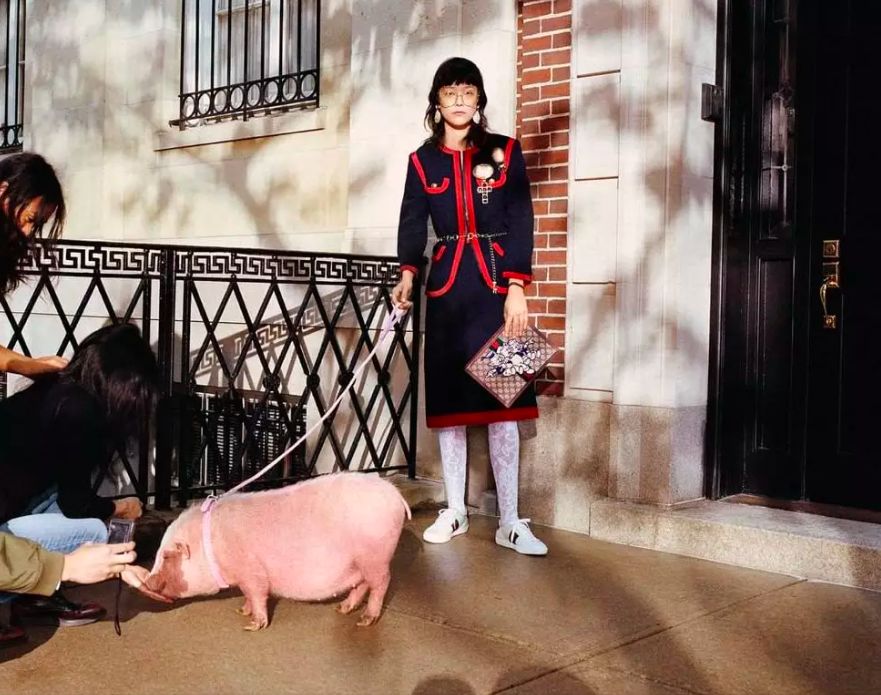 2019猪年限定终于打了个翻身仗，唐嫣大幂幂都在带货！