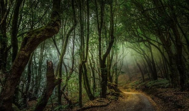 西班牙十大景点,西班牙十大风景名胜