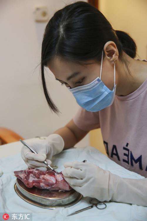 来者不拒！外科医生竟拿它们来练手