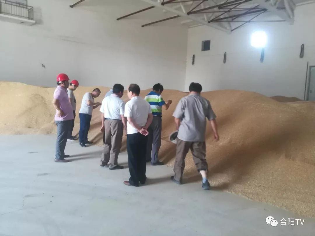 粮食和物资储备局2021年工作总结,粮食局主要工作任务