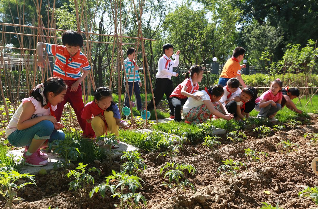 这所以“五一”命名的小学,究竟与劳动有哪些不解之缘?
