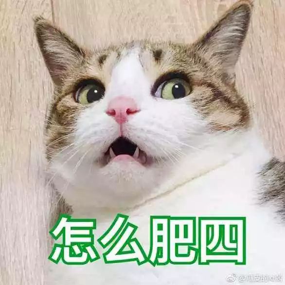 外国人10个月赚100万,11个月赚了100万