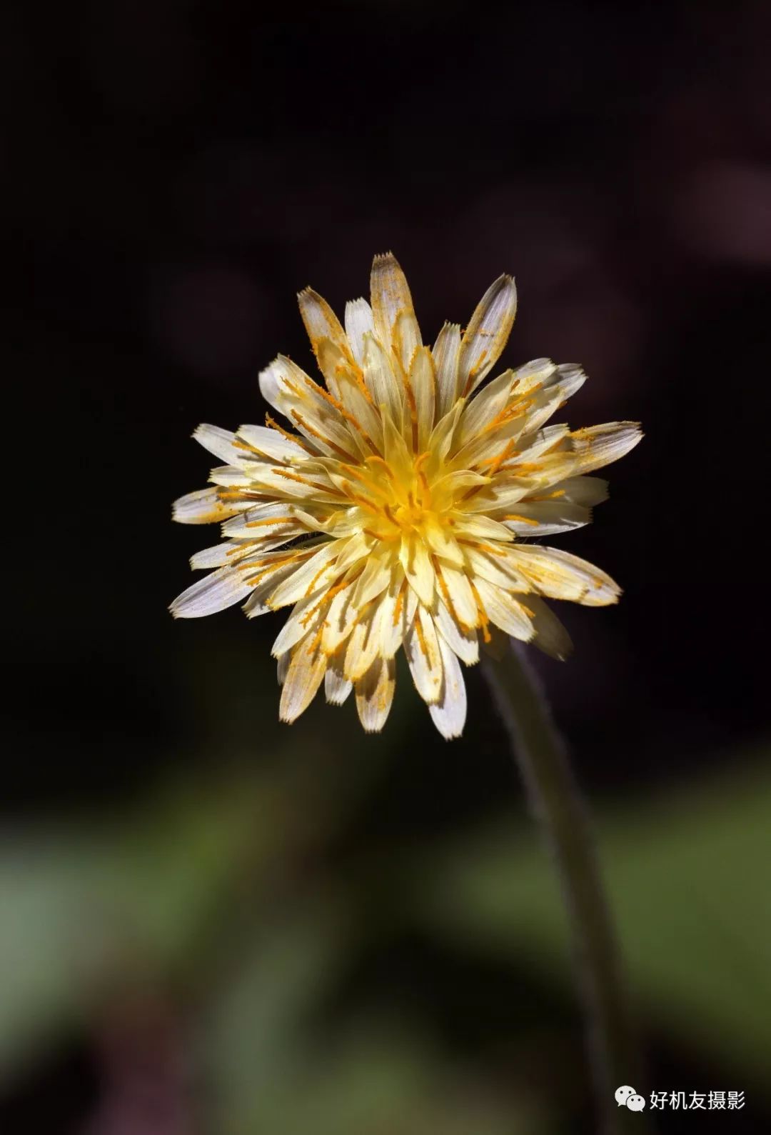 日出摄影用什么测光模式,风景摄影用什么测光模式
