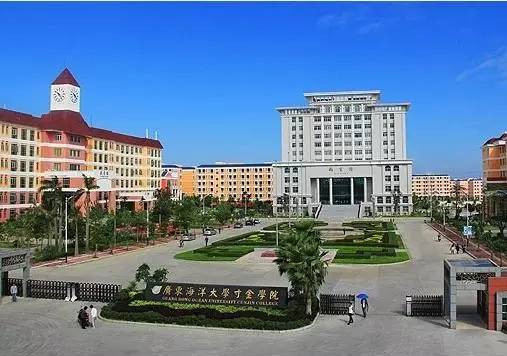 中山大学南方学院幕后大老板是丰顺人