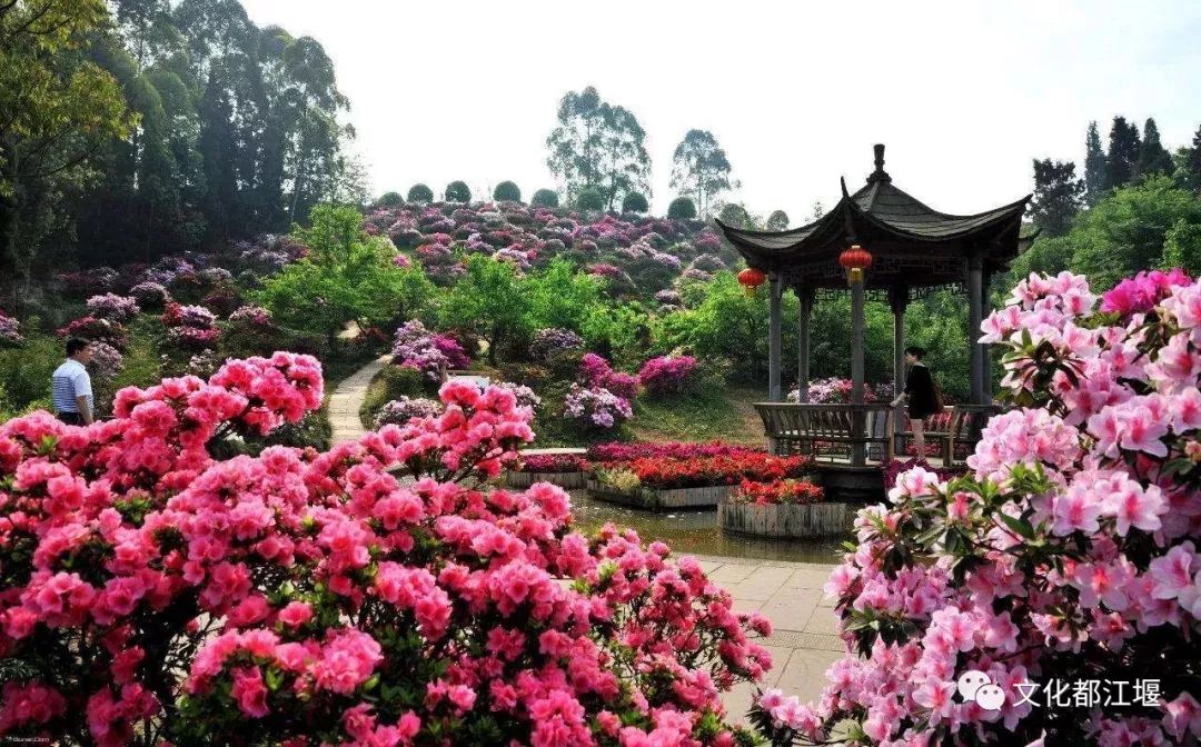 一起去寻找都江堰的幸福年味吧,都江堰舌尖上的年味