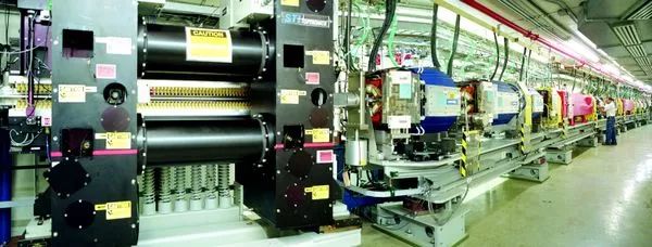 蚊子是怎么形成的全过程,蚊子十大鲜为人知的科学事实