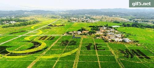 恒大、万达，高速、学校……2019年，咸宁有大变化！
