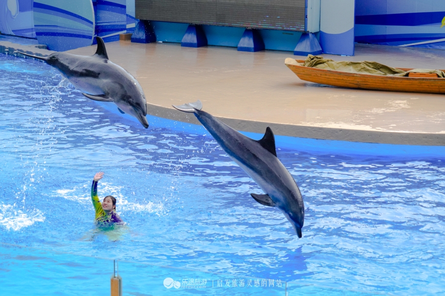 香港海洋公园简介,香港海洋公园历史故事