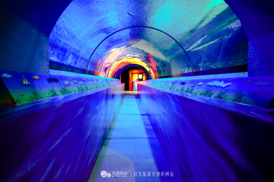 香港海洋公园简介,香港海洋公园历史故事