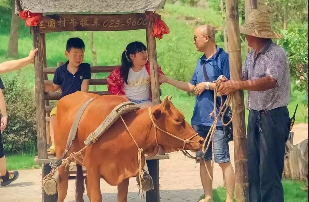 200亩，游客年超30万！这个用枯树建成的农庄，为啥这么牛？