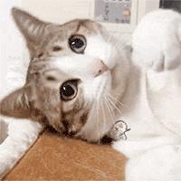 淘宝家居服推荐,淘宝上好看的衣服推荐