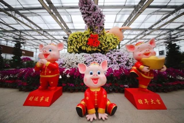 “央媒看淮阴”系列报道之六｜“三化”并举走出淮安市淮阴区现代农业高质量发展新路径