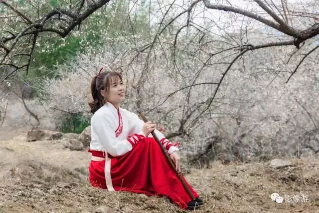 梁化梅园梅花开了吗,梁化梅园梅花观赏最佳时间