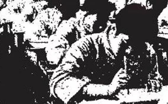 中国幼儿园教育发展史,中国幼儿园教育起源