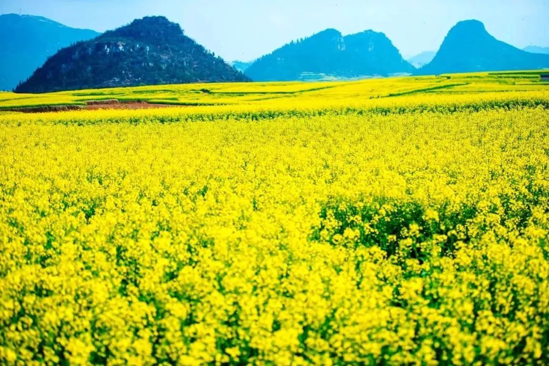 开启2019年的第一场旅行,2019第一场旅行去哪里