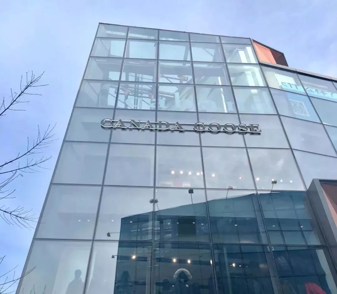 那些爱买加拿大鹅的北京人,那些买加拿大鹅的北京人