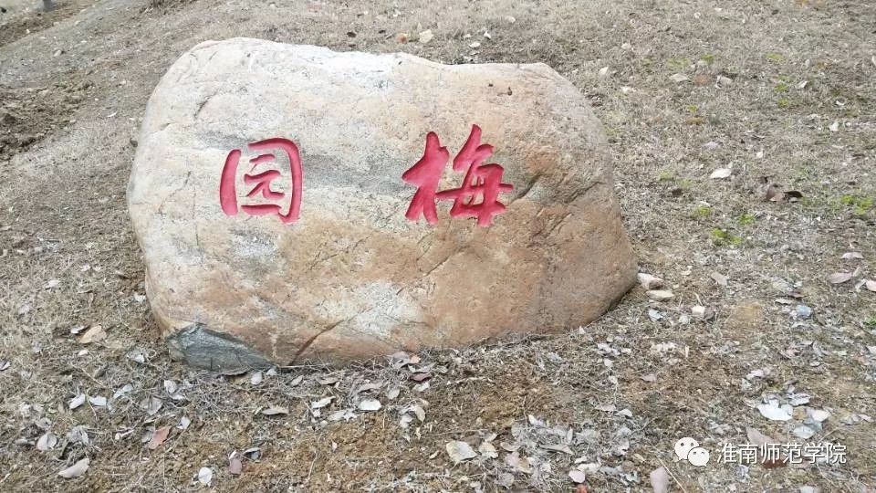 在师院，我想陪你从A走到Z