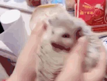 怎样通过闲鱼赚钱,怎么通过闲鱼赚钱