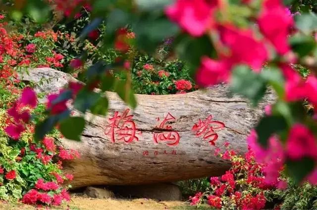 火速收藏!冬*你日**想要的阳光、骑行、美食美景都在这儿~