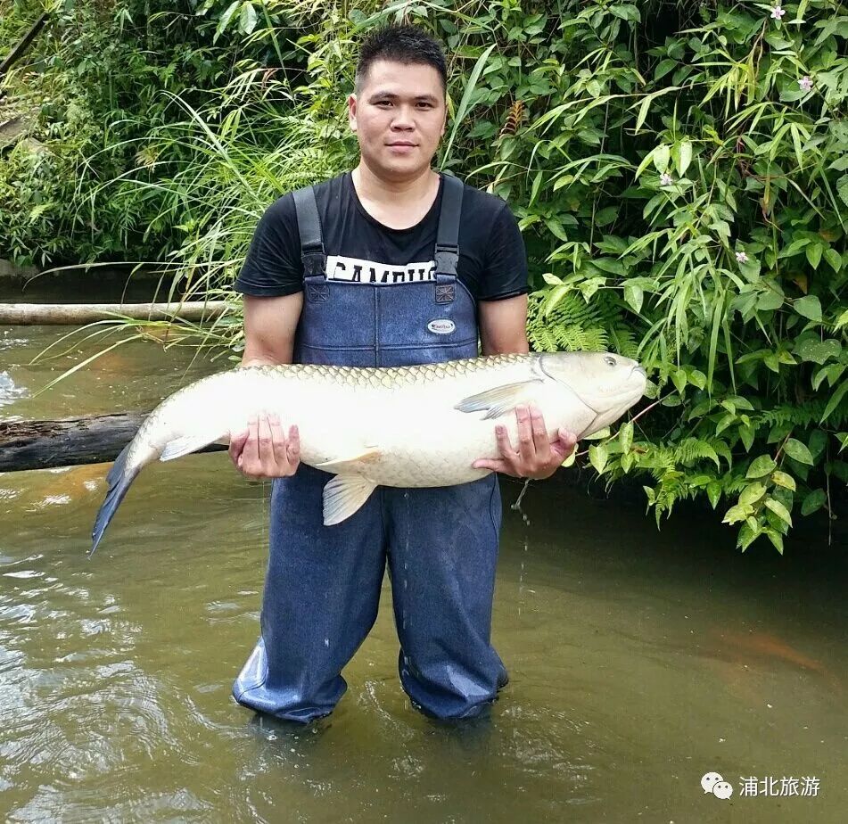 常回家看看买点礼物,常回家看看送给牵挂的人
