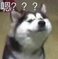 姑娘花400元参加同学聚会,姑娘花400元租奔驰参加同学聚会