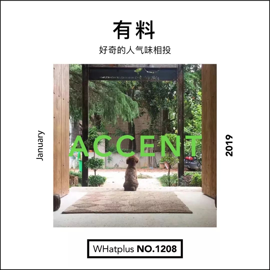 武汉东湖小白民宿,武汉森林玻璃房民宿