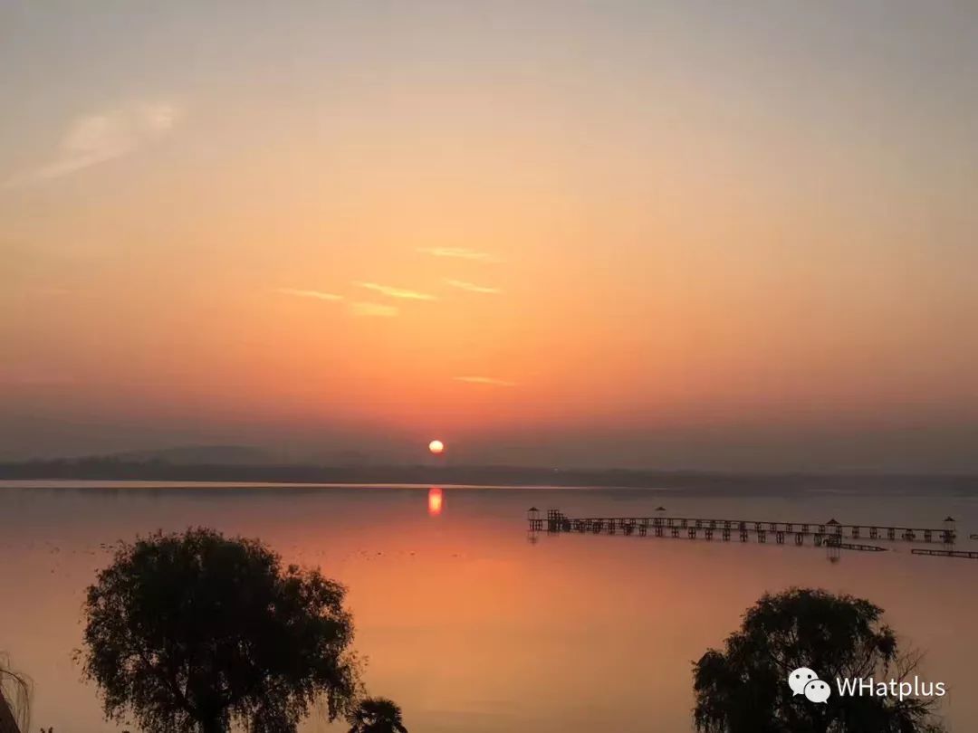 武汉东湖小白民宿,武汉森林玻璃房民宿