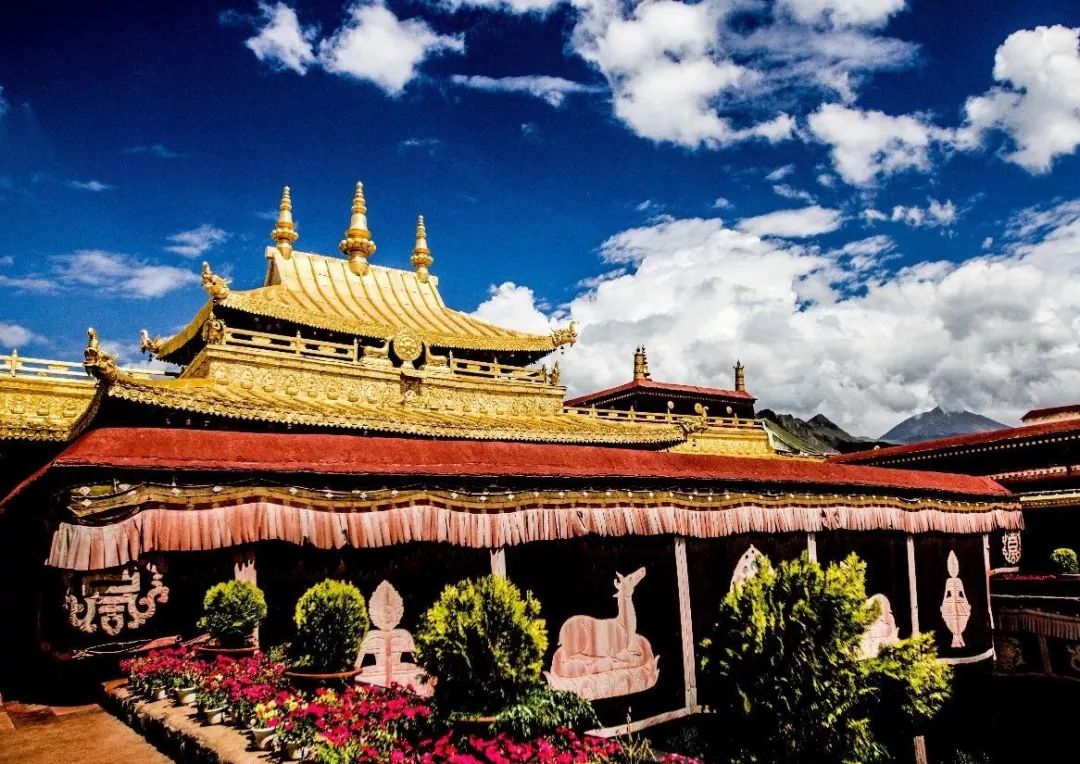 集五福沾福气什么都没沾到,集五福却没有抽福卡的机会怎么办