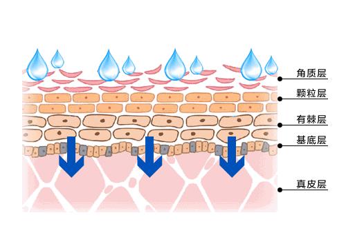 资生堂抗皱,资生堂紧致抗氧化