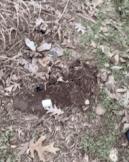 长大后才知道努力去拥有的不是奢侈，而是回避