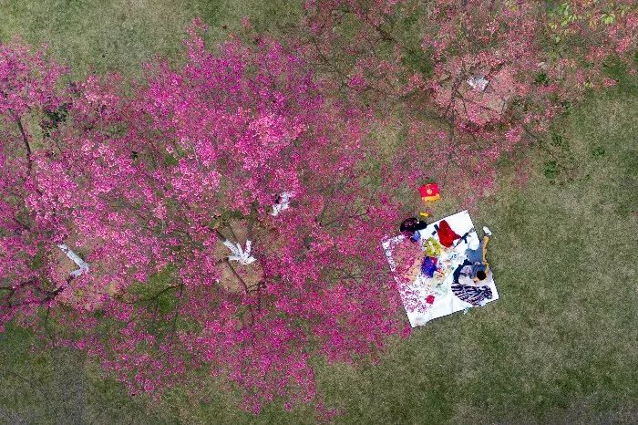 整容脸被打伤如何赔偿,整容10级伤残赔偿标准